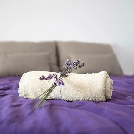 Nauportus فورنيكا