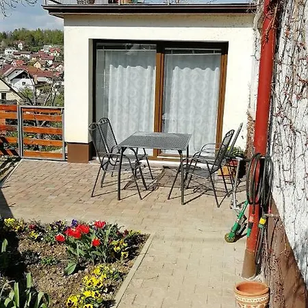Apartment Nauportus